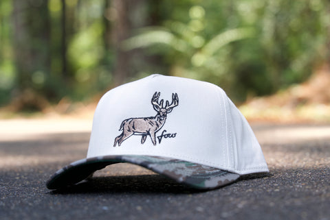 Telluride - Big Buck