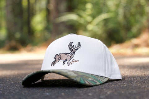 Telluride - Big Buck
