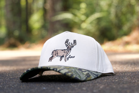 Telluride - Big Buck