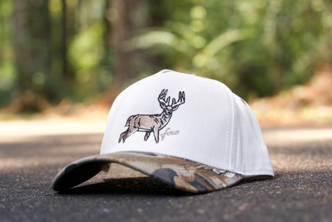 Telluride - Big Buck