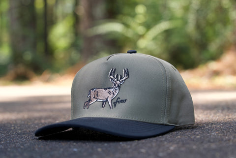 Telluride - Big Buck