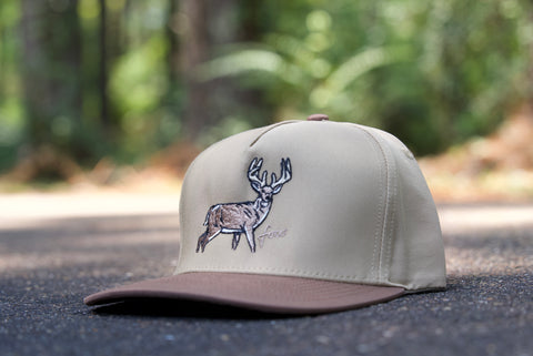 Telluride - Big Buck