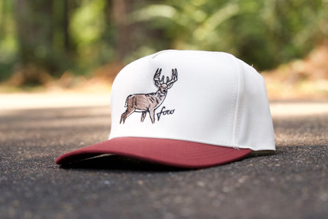 Telluride - Big Buck