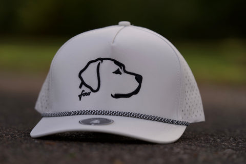 Scout (Weatherproof)- Lab Head